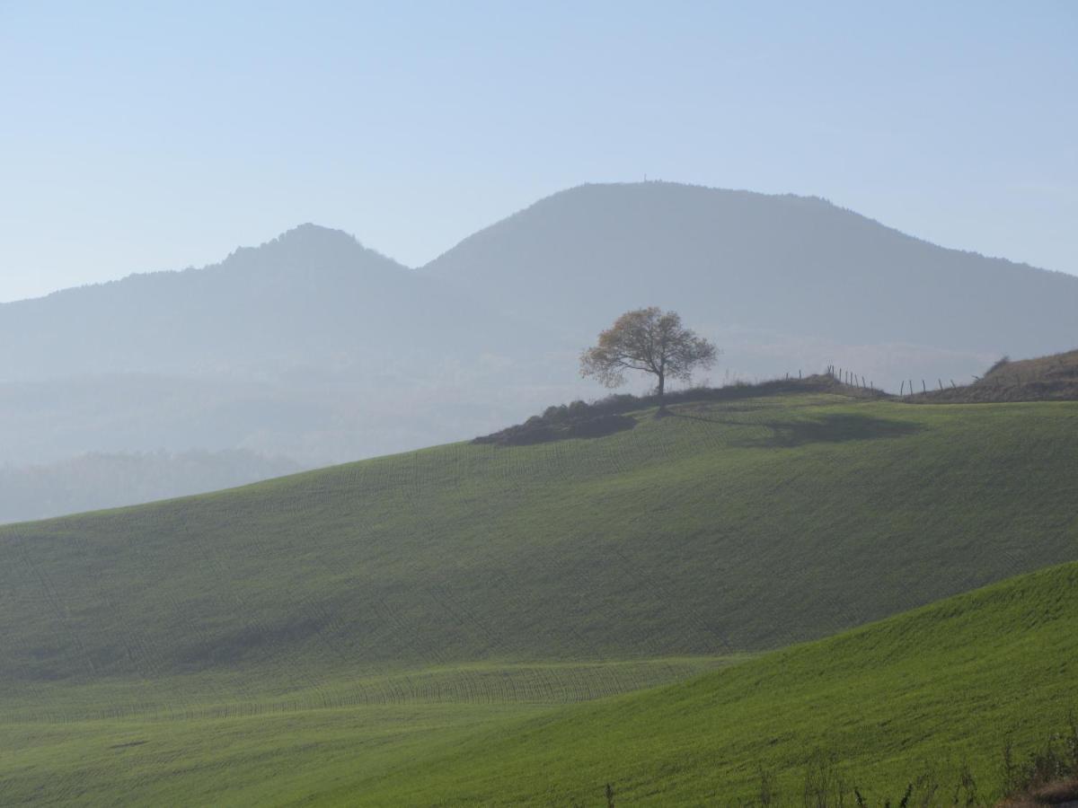 מלון Monte Grimano Terme Casale Le Fontanelle מראה חיצוני תמונה