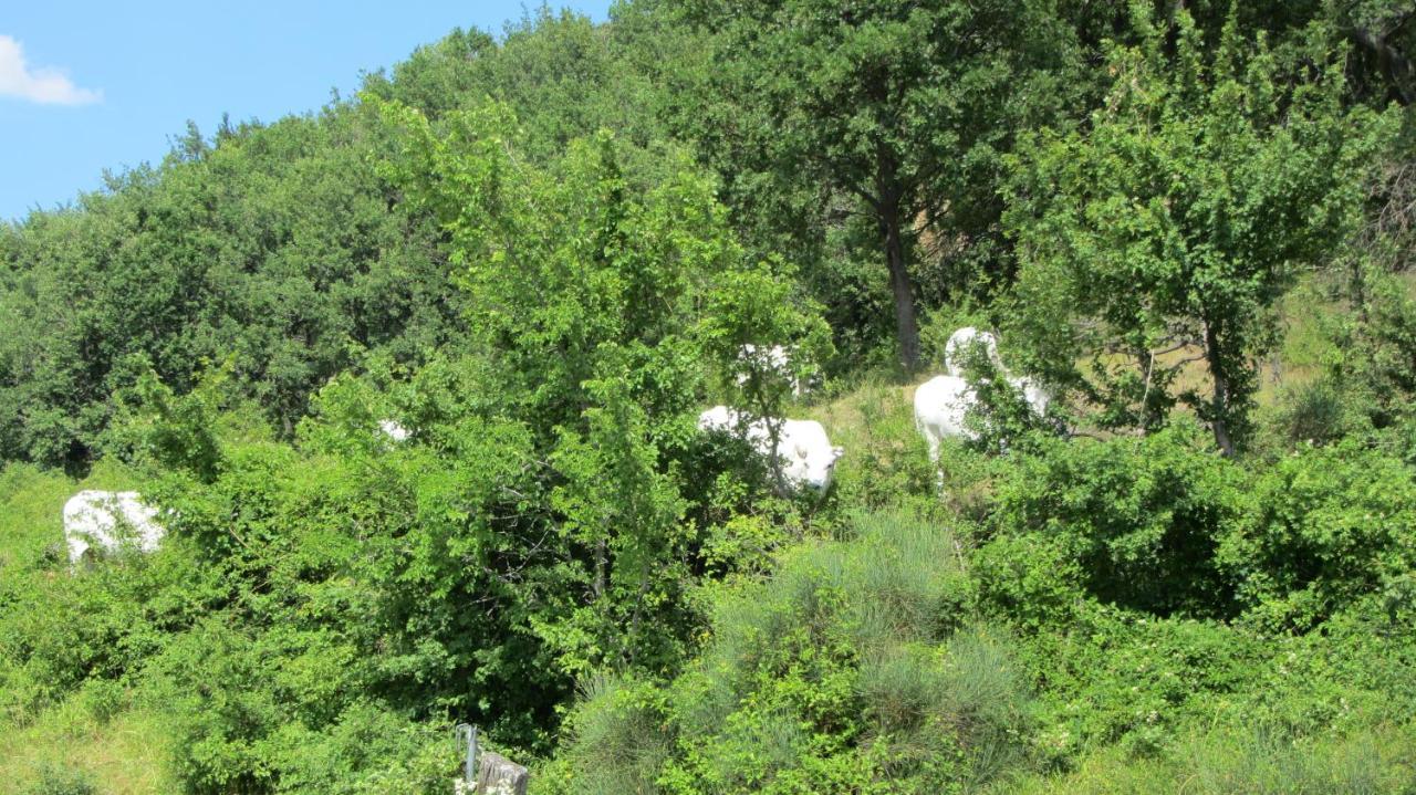 מלון Monte Grimano Terme Casale Le Fontanelle מראה חיצוני תמונה