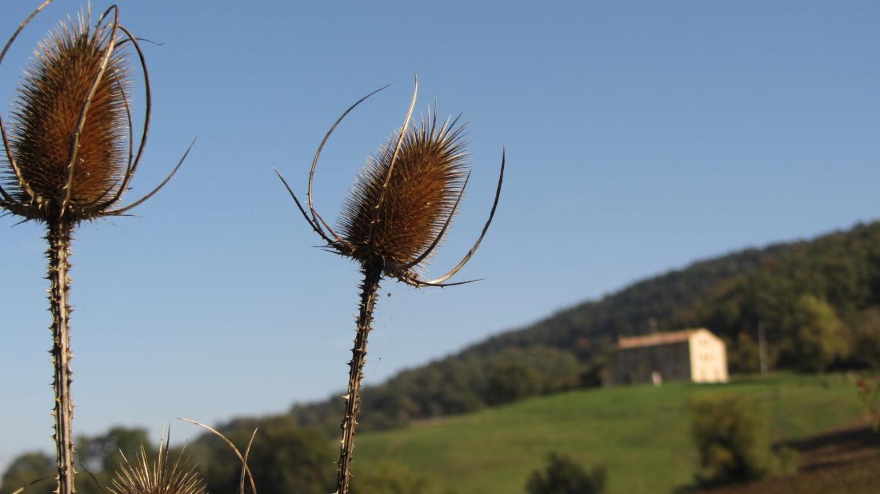 מלון Monte Grimano Terme Casale Le Fontanelle מראה חיצוני תמונה