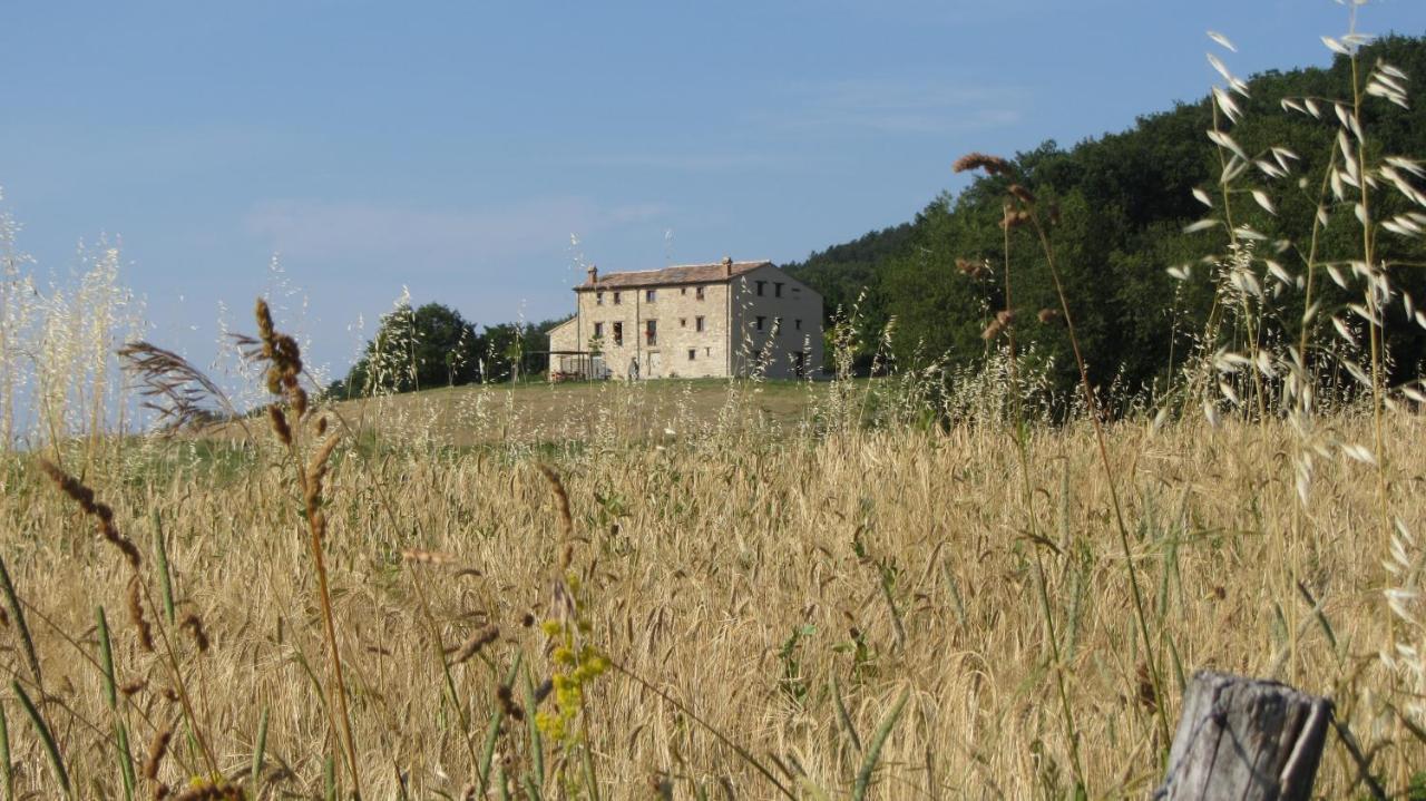 מלון Monte Grimano Terme Casale Le Fontanelle מראה חיצוני תמונה
